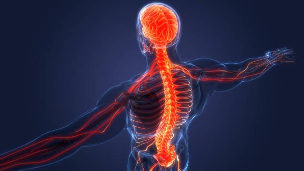 Best Bone and Nerve Specialist in Rajendra Nagar